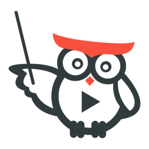 Site Skills owl character